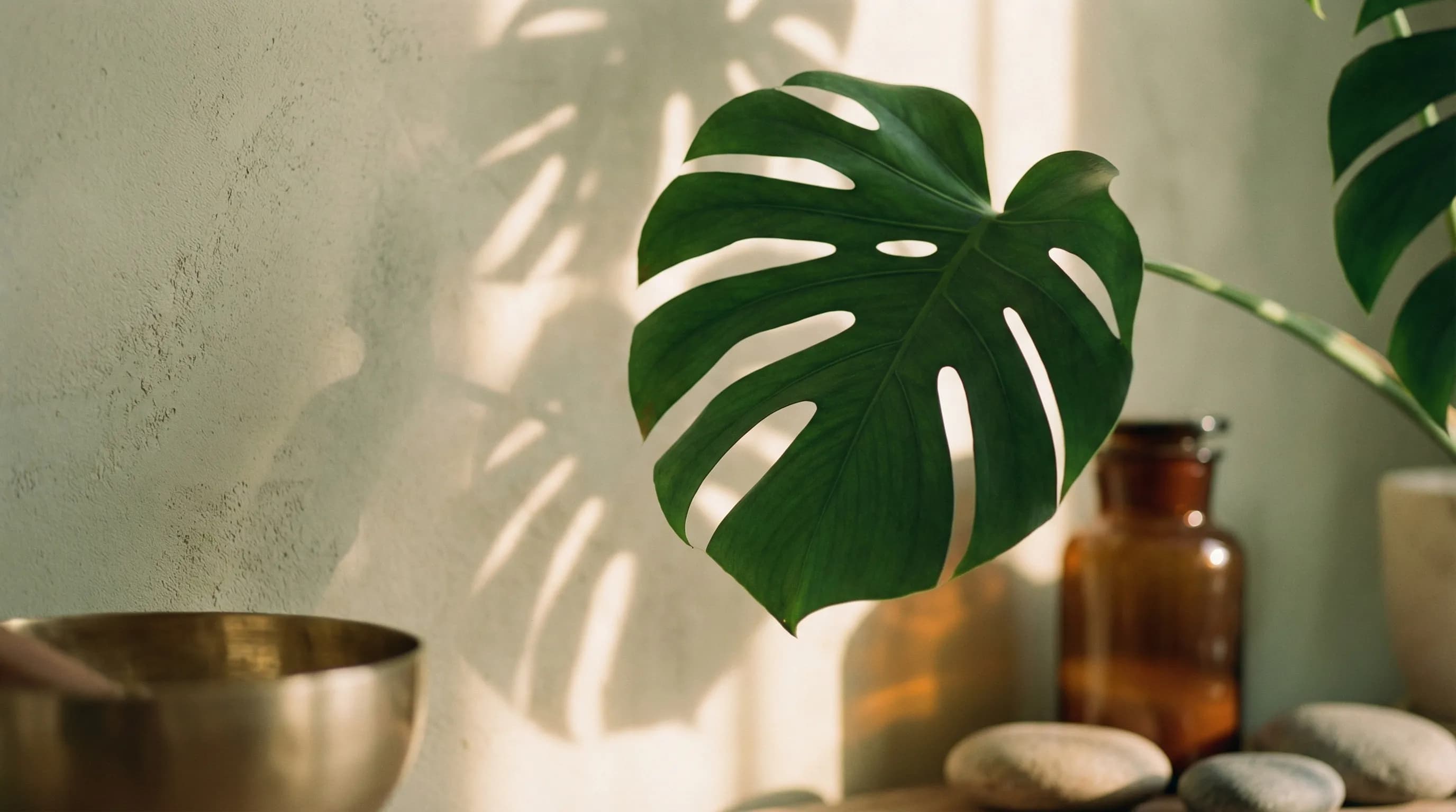 Modern sauna interior with warm wood seating and ambient lighting